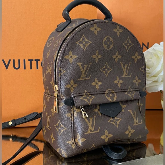 Louis Vuitton Palm Springs Mini - Picture 8 of 16